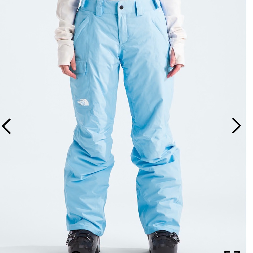 The North Face Women’s Freedom Insulated Pants (Ski Pants)